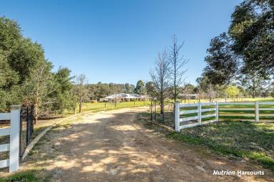 Farm For Sale - WA - Beermullah - 6503 - A Rare Gem - One of The Best Lifestyle Properties in the District!  (Image 2)