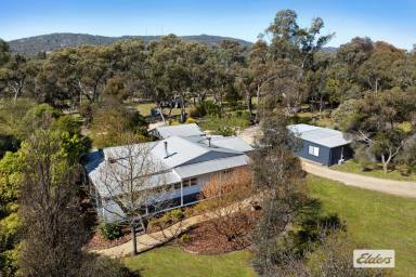 Farm For Sale - VIC - Harcourt - 3453 - FULLY RENOVATED COUNTRY COTTAGE IN A PARKLIKE SETTING  (Image 2)