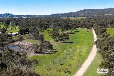 Farm For Sale - VIC - Harcourt - 3453 - FULLY RENOVATED COUNTRY COTTAGE IN A PARKLIKE SETTING  (Image 2)