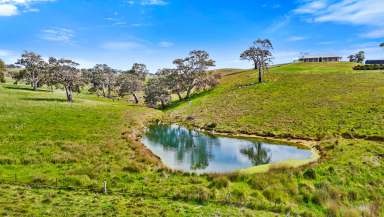 Farm Sold - SA - Gemmells - 5255 - An urban sensation in magnificent gum country; 82 acres at close to its self-sufficient best.  (Image 2)