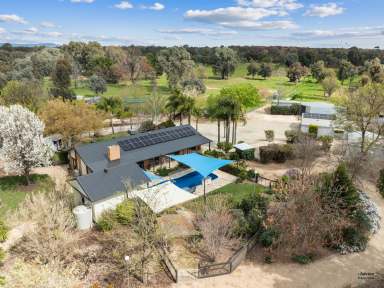 Farm For Sale - VIC - Benalla - 3672 - Versatile Lifestyle Property on 6 productive acres close to Benalla  (Image 2)