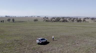 Farm For Sale - QLD - East Greenmount - 4359 - "Nederville" - 114.8* Productive Acres - Mixed Farm & Exceptional Lifestyle Near Toowoomba!  (Image 2)