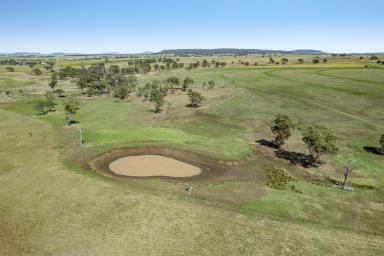 Farm For Sale - QLD - East Greenmount - 4359 - "Nederville" - 114.8* Productive Acres - Mixed Farm & Exceptional Lifestyle Near Toowoomba!  (Image 2)