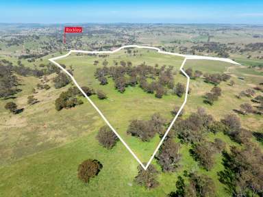 Farm Auction - NSW - Rockley - 2795 - "HILLVIEW" - Perfect Small Farm on Rockley's Doorstep.  (Image 2)