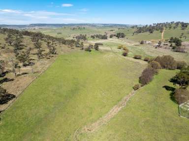 Farm Auction - NSW - Rockley - 2795 - "PEPPERS RIDGE" -  A Blank Canvas  (Image 2)