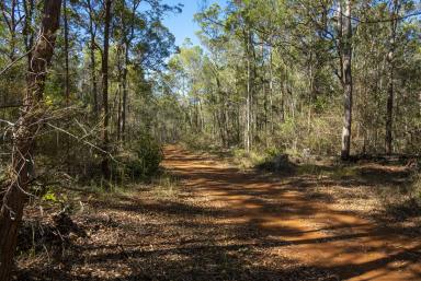 Farm For Sale - QLD - Blackbutt - 4314 - Rare 1351.17 acres Land Potential in Blackbutt QLD  (Image 2)