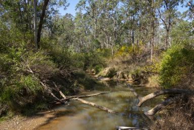 Farm For Sale - QLD - Blackbutt - 4314 - Rare 1351.17 acres Land Potential in Blackbutt QLD  (Image 2)