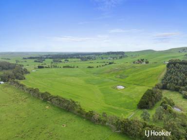 Farm For Sale - VIC - Outtrim - 3951 - UNIQUE LIFESTYLE OPPORTUNITY  (Image 2)