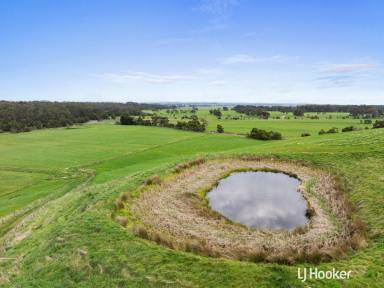 Farm For Sale - VIC - Outtrim - 3951 - UNIQUE LIFESTYLE OPPORTUNITY  (Image 2)