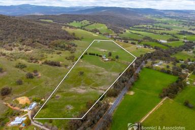 Farm For Sale - VIC - Wooragee - 3747 - Ideally Located Rural Lifestyle  (Image 2)