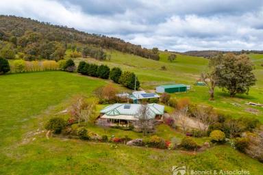 Farm For Sale - VIC - Wooragee - 3747 - Ideally Located Rural Lifestyle  (Image 2)