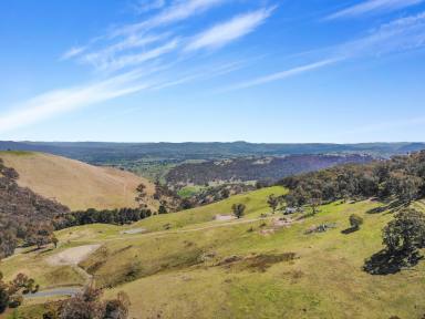 Farm For Sale - NSW - Argalong - 2720 - Lifestyle & Views!  (Image 2)