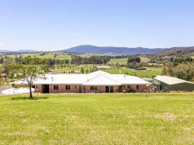 Farm For Sale - NSW - Tarraganda - 2550 - BEST VIEWS IN A PRIME LOCATION!  (Image 2)