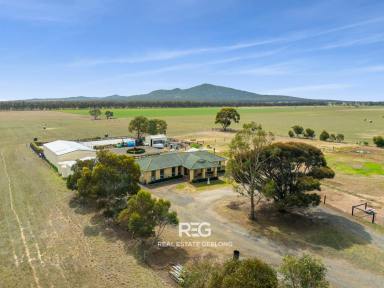 Farm For Sale - VIC - Lara - 3212 - The Most Unique 5 Acres in Lara!  (Image 2)