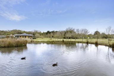 Farm For Sale - VIC - Woodend - 3442 - Five-Bedroom Homestead with Modern Elegance Minutes to Town  (Image 2)