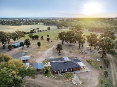 Farm For Sale - VIC - Shelbourne - 3515 - Ultimate in Country Living: Modern Home on 15 Acres with Excellent Shedding  (Image 2)