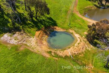 Farm For Sale - WA - Gidgegannup - 6083 - "Rare Earth"  (Image 2)