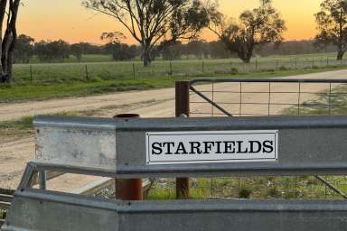 Farm For Sale - NSW - Wallendbeen - 2588 - Starfields - Prime Wallendbeen Mixed Farming  (Image 2)