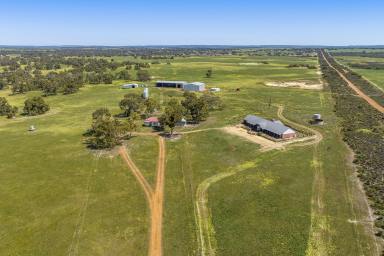 Farm For Sale - WA - Mogumber - 6506 - Mogumber's hidden Gem  (Image 2)