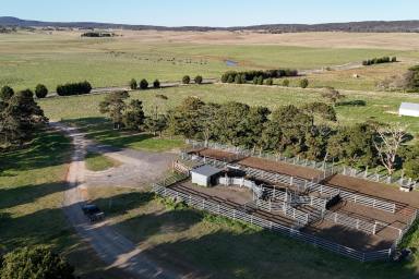 Farm For Sale - NSW - Goulburn - 2580 - Blue Ribbon 'Rosedale'  (Image 2)