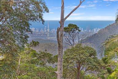 Farm For Sale - QLD - Tamborine Mountain - 4272 - Grand Acreage Residence with Enviable Views  (Image 2)