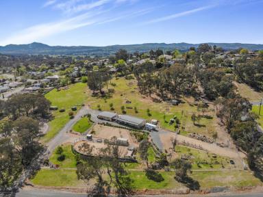 Farm For Sale - NSW - Tumut - 2720 - Room to move in town!  (Image 2)