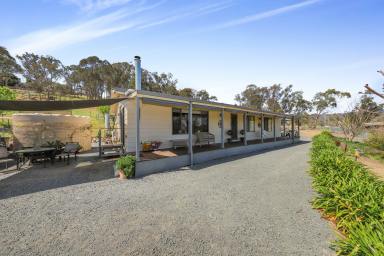 Farm For Sale - NSW - Tumut - 2720 - Room to move in town!  (Image 2)