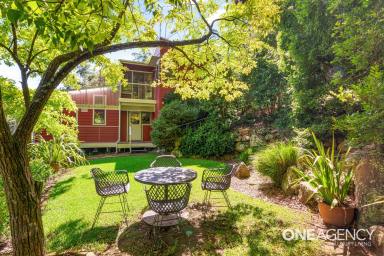 Farm For Sale - NSW - Kangaroo Valley - 2577 - House + Studio on 5 acres  (Image 2)