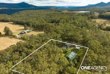 Farm For Sale - NSW - Kangaroo Valley - 2577 - Valley Moss  (Image 2)