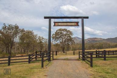 Farm For Sale - QLD - Hillview - 4285 - A slice of Scenic Rim history  (Image 2)