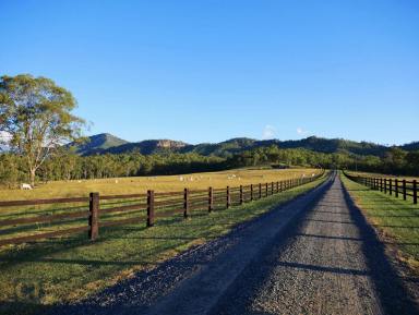 Farm For Sale - QLD - Hillview - 4285 - A slice of Scenic Rim history  (Image 2)