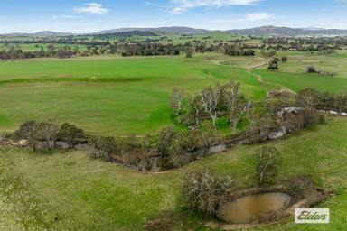 Farm For Sale - VIC - Crowlands - 3377 - 137 Acres - Mixed Farming With Options  (Image 2)