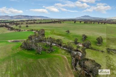 Farm For Sale - VIC - Crowlands - 3377 - 137 Acres - Mixed Farming With Options  (Image 2)