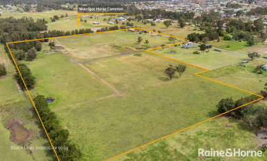 Farm For Sale - NSW - Worrigee - 2540 - Dream Horse Property in Serene Country Setting  (Image 2)