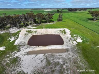 Farm For Sale - WA - Mindarabin - 6336 - Mixed Farming Operation  (Image 2)