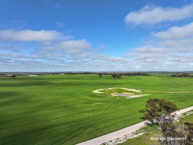 Farm For Sale - WA - Mindarabin - 6336 - Mixed Farming Operation  (Image 2)