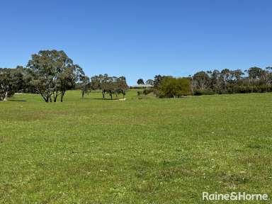 Farm For Sale - SA - Harrogate - 5244 - 'Dustys Run' | 163 Acres | 66 Hectares | 2 Titles  (Image 2)