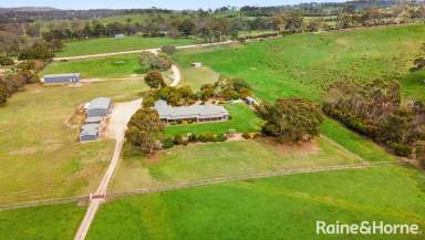 Farm For Sale - SA - Harrogate - 5244 - 'Dustys Run' | 80 Acres | 32.57 Hectares | High Quality Homestead | Significant Sheds  (Image 2)