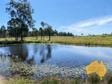 Farm For Sale - QLD - Stalworth - 4613 - Opportunity knocks, productive lifestyle property with ambiance and character  (Image 2)