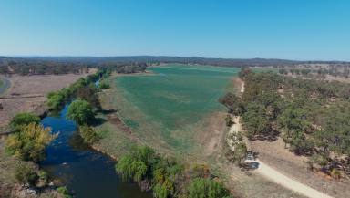 Farm For Sale - NSW - Inverell - 2360 - 'Holmwood'  (Image 2)