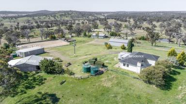 Farm For Sale - NSW - Bendemeer - 2355 - "Roseneath" 2136 Acres, Prime Breeding/Grazing Property  (Image 2)