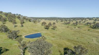 3956 Oxley Highway, Bendemeer NSW 2355