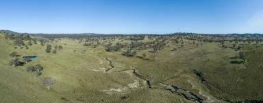 Farm For Sale - NSW - Bendemeer - 2355 - "Roseneath" 2136 Acres, Prime Breeding/Grazing Property  (Image 2)