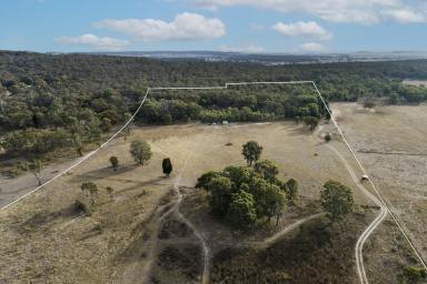 Farm For Sale - NSW - Gulgong - 2852 - Build the Dream or Relax in Peace  (Image 2)