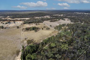 Farm For Sale - NSW - Gulgong - 2852 - Build the Dream or Relax in Peace  (Image 2)