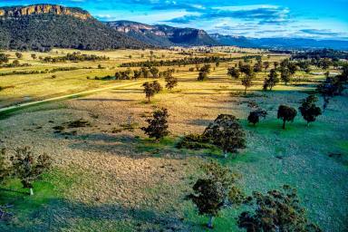 Farm For Sale - NSW - Rylstone - 2849 - Wollemi - 389 Upper Nile Road, Glen Alice Eurella Eco Subdivision  (Image 2)