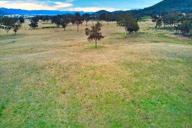 Farm For Sale - NSW - Rylstone - 2849 - Wollemi - 389 Upper Nile Road, Glen Alice Eurella Eco Subdivision  (Image 2)