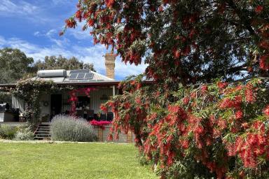 Farm For Sale - NSW - Mudgee - 2850 - Discover "Billagal", A Unique Rural Retreat  (Image 2)