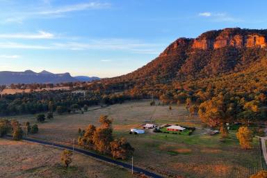 Farm For Sale - NSW - Glen Alice - 2849 - LUXE ECO LIVING, TWO DWELLINGS  (Image 2)