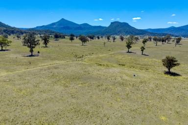 Farm For Sale - NSW - Rylstone - 2849 - Building Block with Spectacular Views  (Image 2)